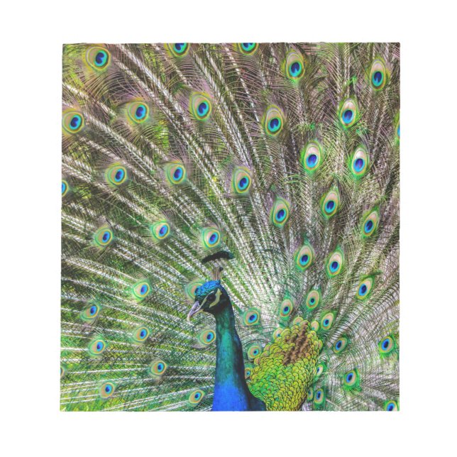 Peacock Anteckningsblock (Framsida)