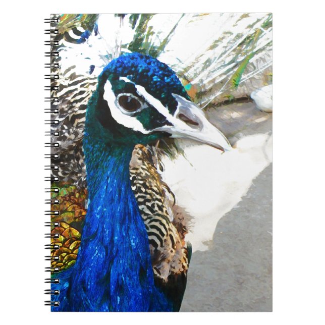 Peacock Anteckningsbok (Framsidan)