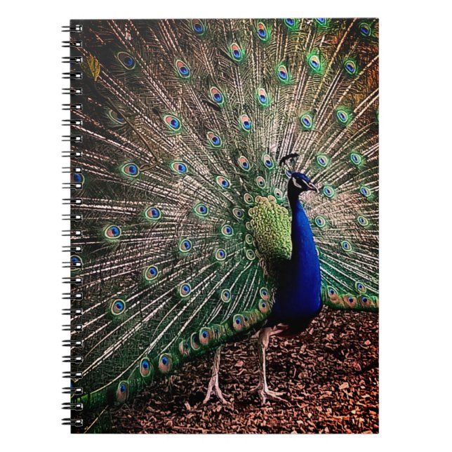 Peacock Anteckningsbok (Framsidan)