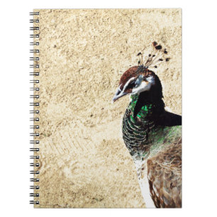 Peacock Anteckningsbok