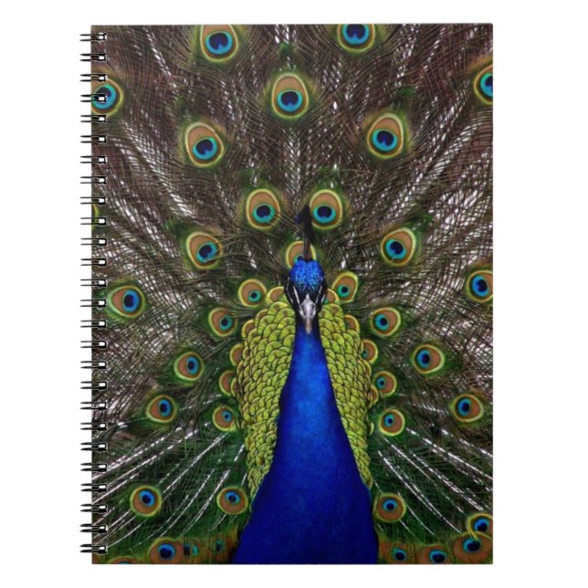 Peacock Anteckningsbok Med Spiral (Framsidan)