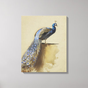 Peacock   Archibald Thorburn Canvastryck