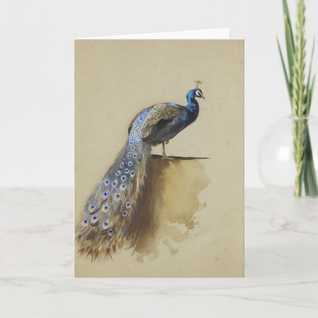 Peacock | Archibald Thorburn Kort (Framsida)