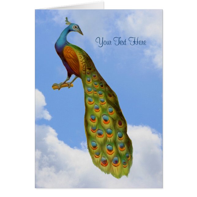 Peacock Art Djurkort OBS Kort (Framsidan)