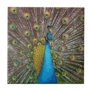 Peacock Art i Jewel Tone Färg Kakelplatta
