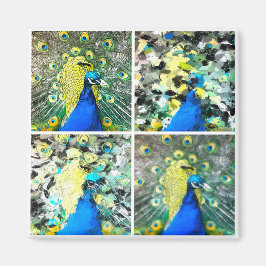 Peacock Art Magnet