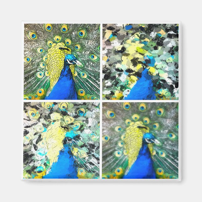 Peacock Art Magnet (Framsidan)