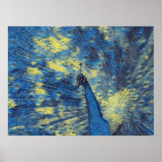 Peacock Artwork in Van Gogh Starry Night Färg Poster