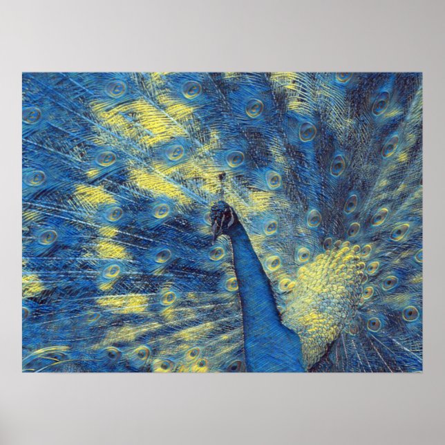 Peacock Artwork in Van Gogh Starry Night Färg Poster (Framsidan)