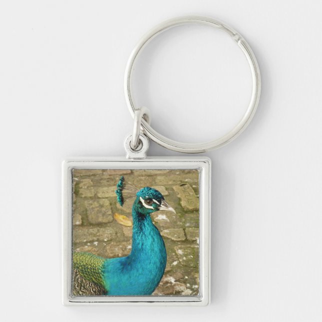 Peacock Bevalt naturfotografi Fyrkantig Silverfärgad Nyckelring (Framsidan)