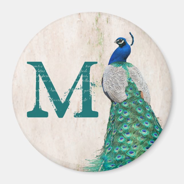 Peacock Bird Feather Teal Monogram Initial Magnet (Framsidan)