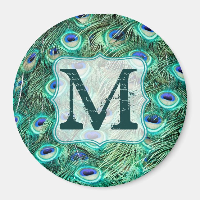 Peacock Bird Feather Teal Monogram Initial Magnet (Framsidan)
