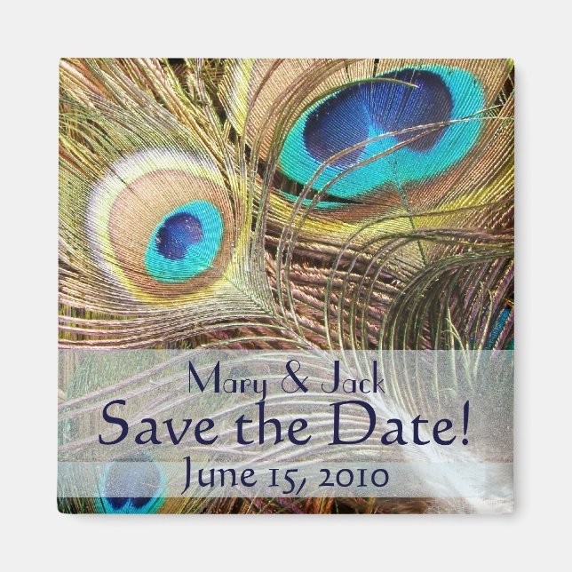 Peacock Bird Feathers Wildlife Animals Magnet (Framsidan)