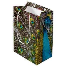 Peacock Bird på Visningen