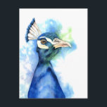 Peacock Bird Watercolor Art Art Vykort<br><div class="desc">Det här är en vattenfärgsmålning av en påk från bröstet upp. Fågeln har en vacker blandning av färger av blått och grönt. Fågeln är mycket ädel och stolt tittar. Detta målades på kallet Arches och tryckte pappert med Daniel Smith-färger.</div>