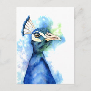 Peacock Bird Watercolor Art Art Vykort