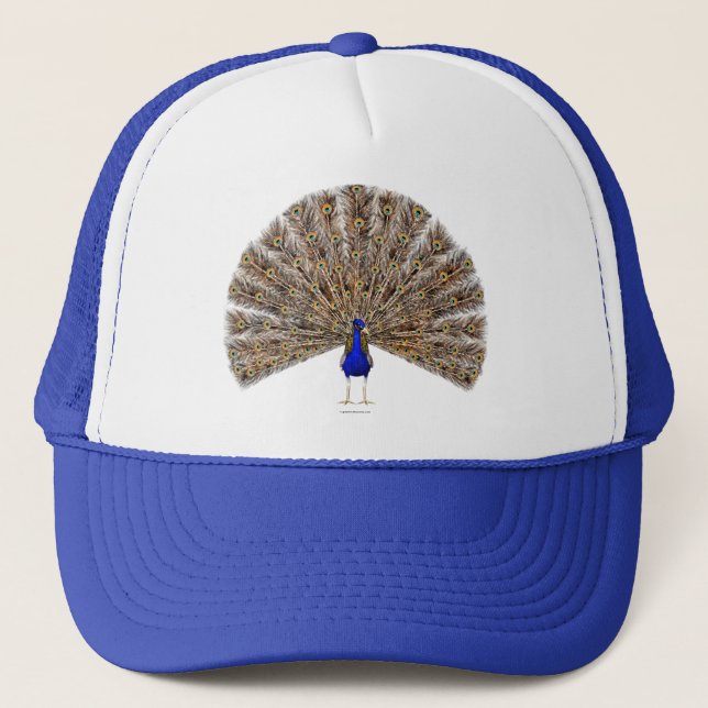 Peacock Blue Hat Keps (Framsida)