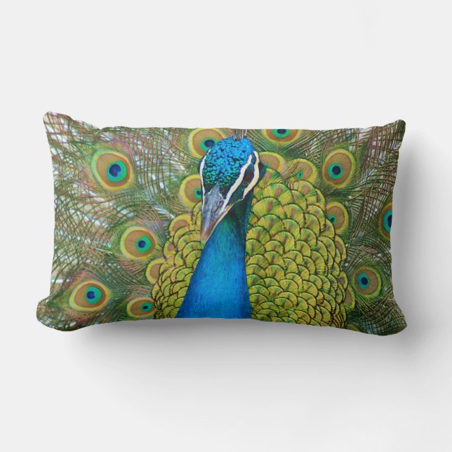 Peacock Blue Head med och Colorful Svan Feathers Lumbarkudde (Framsida)