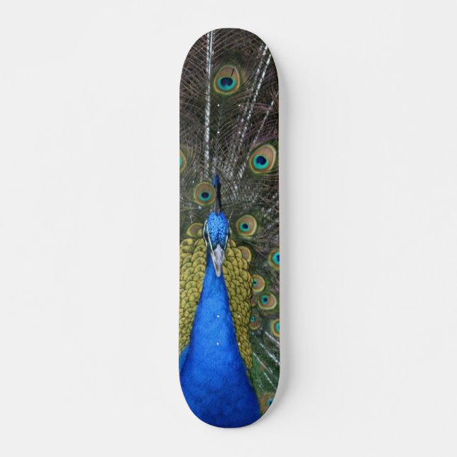 Peacock board skateboard bräda 19,5 cm (Framsida)