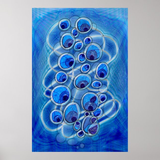 Peacock Bubbles Poster (Framsidan)