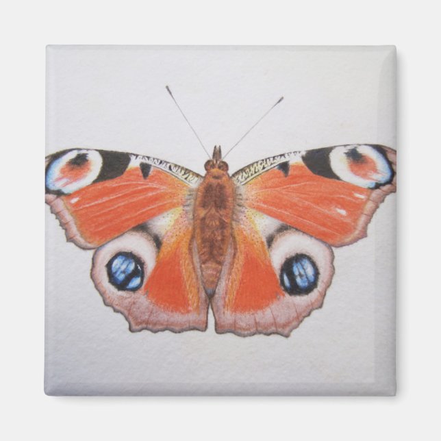 Peacock Butterfly 2012 Magnet (Framsidan)