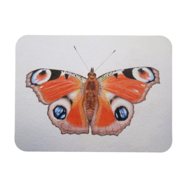 Peacock Butterfly 2012 Magnet (Horisontell)