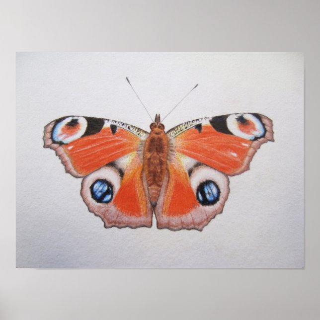 Peacock Butterfly 2012 Poster (Framsidan)