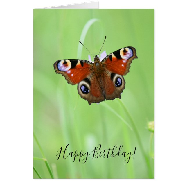 Peacock Butterfly Hälsningskort (Framsidan)