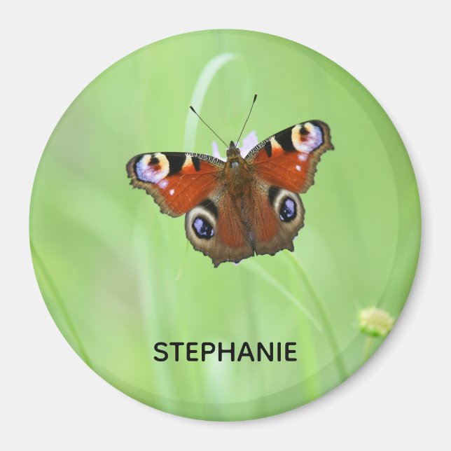 Peacock Butterfly Magnet (Framsidan)