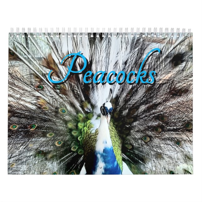 Peacock Calendar Kalender (Omslag)