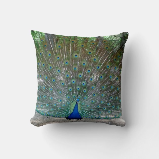 Peacock Dekorativ kudde (Framsida)