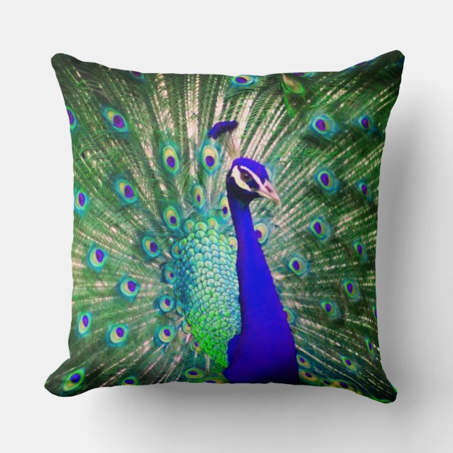 Peacock Dekorativ kudde (Framsida)
