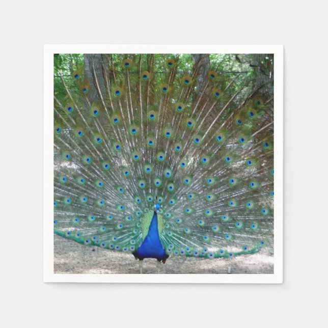 Peacock Design Party Napkins Pappersservett (Framsidan)