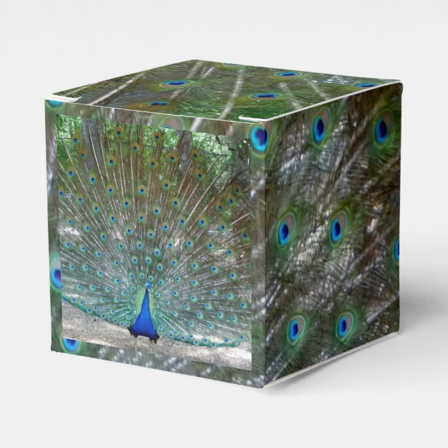 Peacock Design Party Presentaskar (Framsidan Sidan)