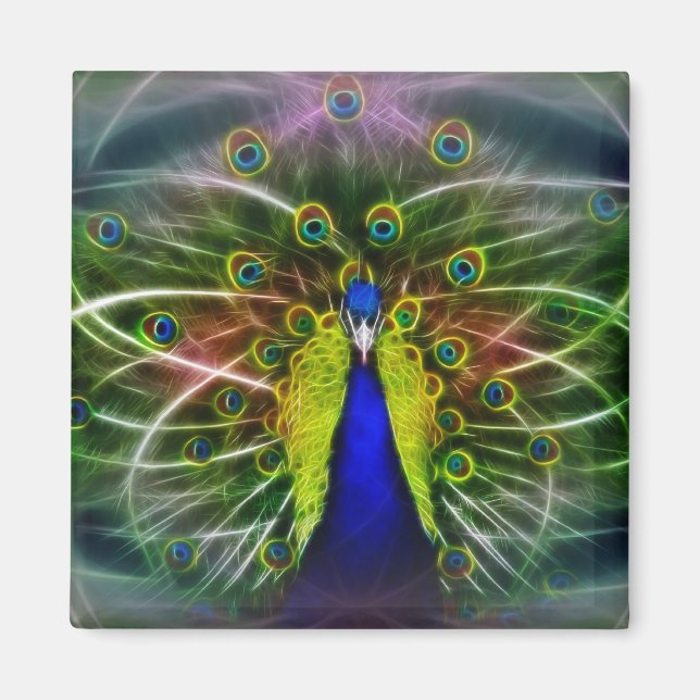 Peacock Dreamcatcher Magnet (Framsidan)