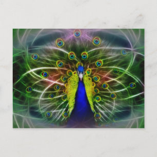 Peacock Dreamcatcher Vykort