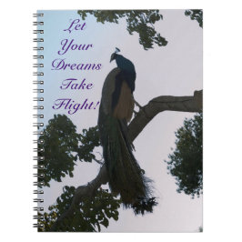 Peacock Dreams bärbar dator Anteckningsbok