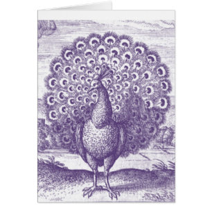 Peacock, en vintage som gravar hälsningskort