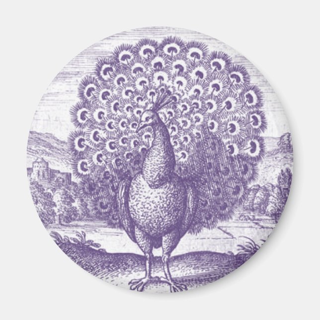 Peacock, en vintage som gravar magnet (Framsidan)