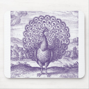 Peacock, en vintage som gravar musmatta