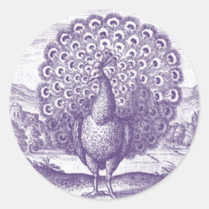 Peacock, en vintage som gravar runt klistermärke