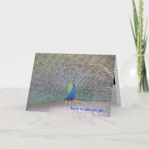 Peacock - Farewell Kort