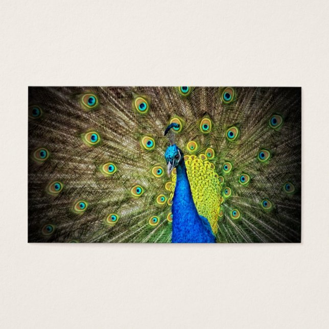 Peacock Färg Beauty Visitkort (Framsidan)