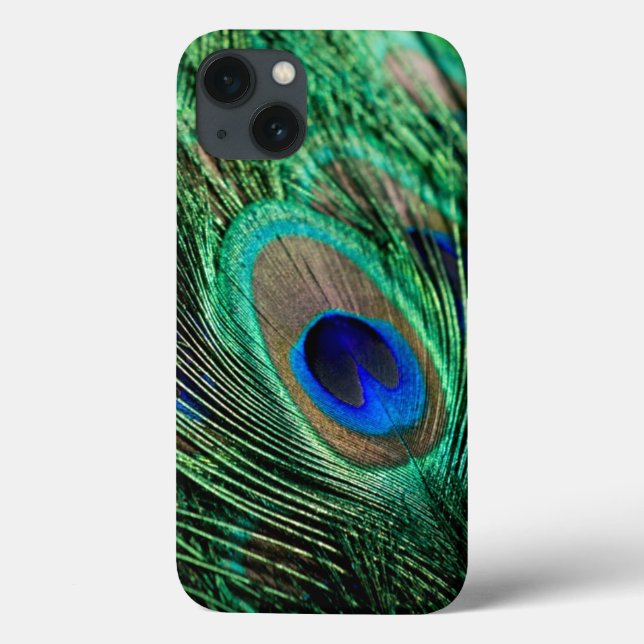 Peacock Feacky (Baksida)
