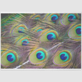 Peacock Feader 1 Decoupage Tissue Paper