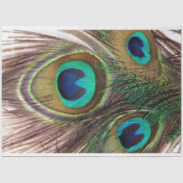 Peacock Feader 2 Decoupage Tissue Paper