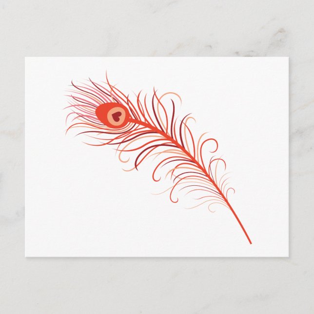 Peacock Feader Vykort (Framsida)