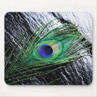 Peacock Feather 1 Mousepads Musmatta