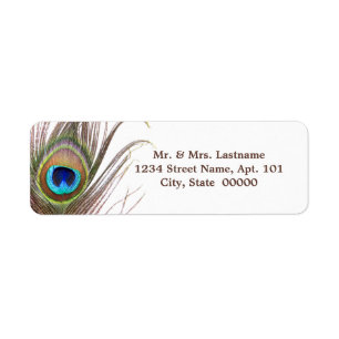 Peacock Feather Adressetiketters Returadress Etikett