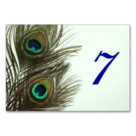 Peacock Feather Bord Card Bordsnummer